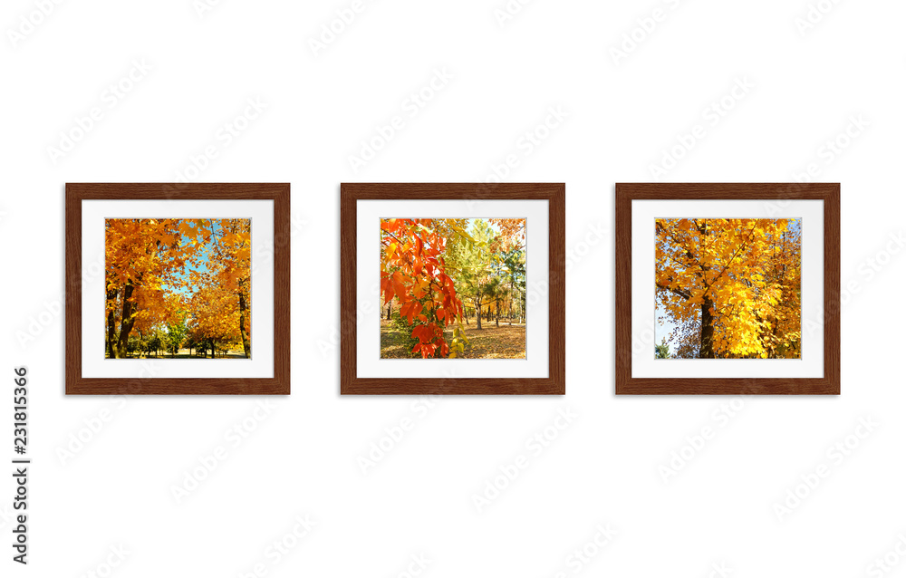 Fototapeta premium Three photo frames with colorful autumn pictures collage, interior decor mock up