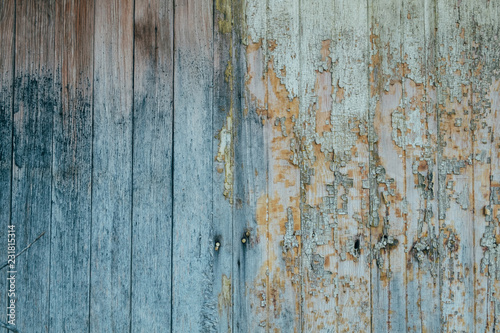 Grungy wood panel background texture