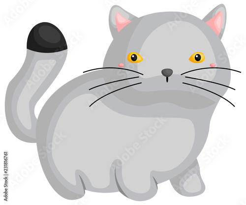a vector of a cute british shorthair cat