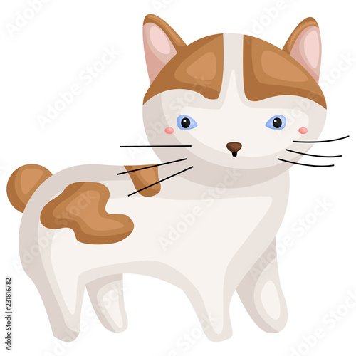 Принти на полотні a vector of a japanese bobtail cat