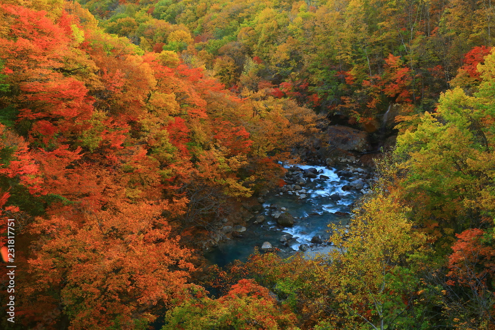 紅葉の八幡平 紅葉の八幡平