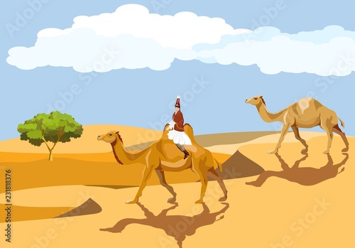 Kazakh woman in traditional dress riding on camel in desert. desert landscape, barhans.