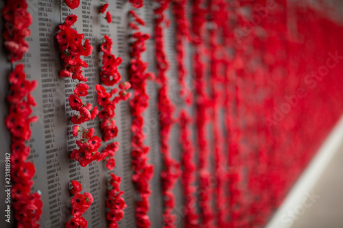 Poppies on the remembrance wall