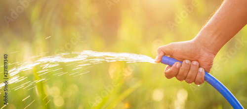 Photos Hand holding water hose and watering to the plant in outdoor garden
