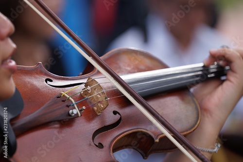 Violin is a kind of musical instrument.