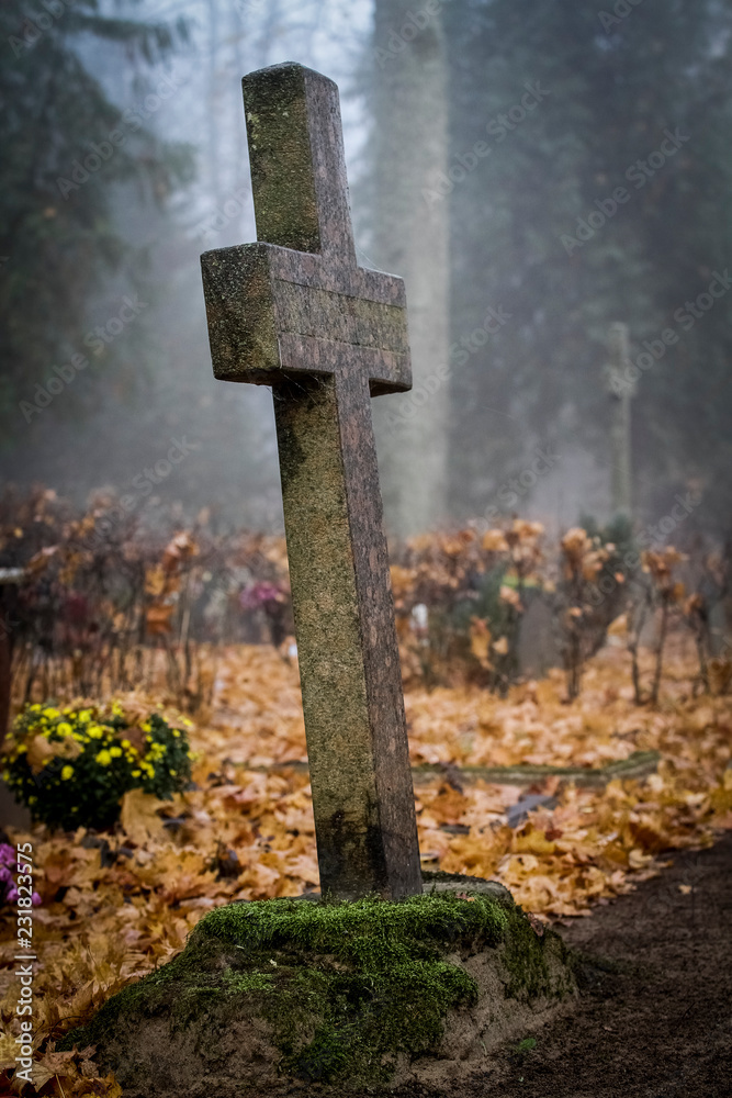 Foggy and misty morning at the local cemetery Foggy and misty morning at the local cemetery