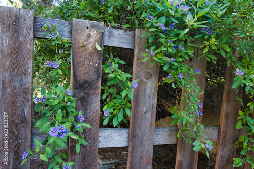 wooden fence © Photo168