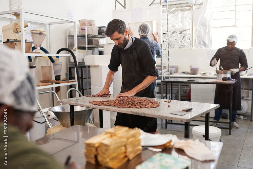 Working sorting through cocoa beans on a factory table Working sorting through cocoa beans on a factory table