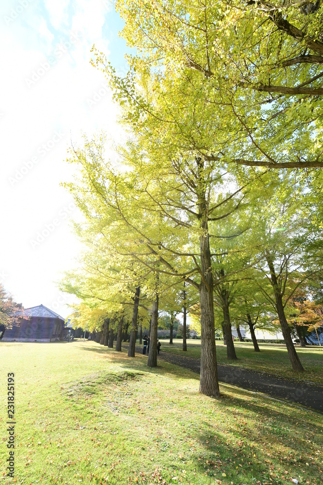 Naklejka premium 茨城県立歴史館