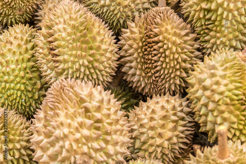 fruit of durian