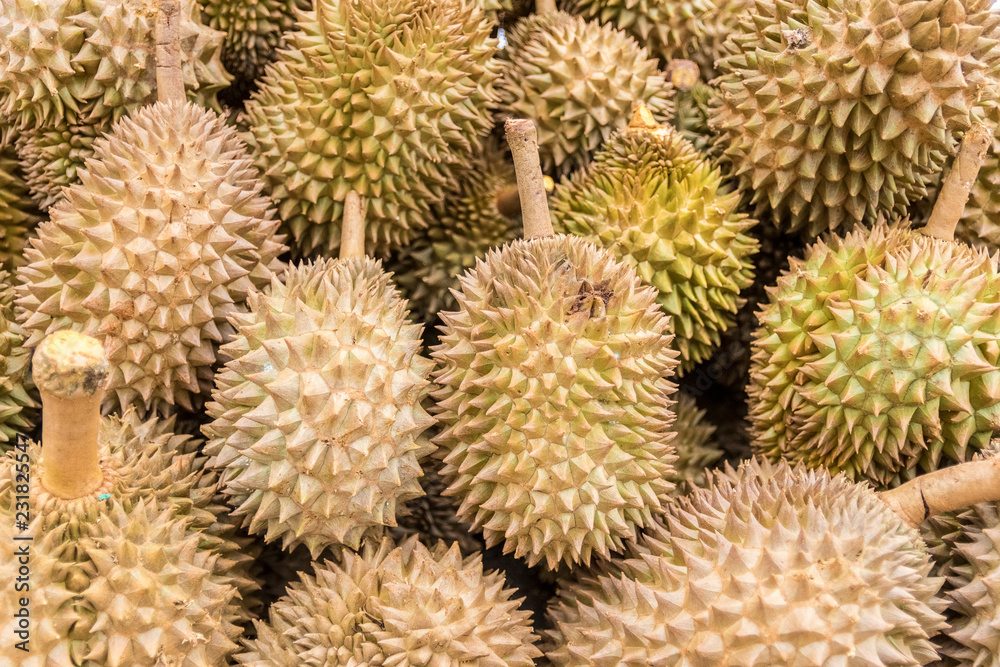 fruit of durian fruit of durian