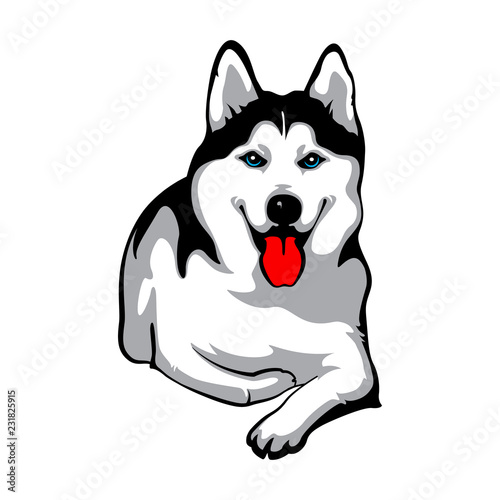 Husky, Siberian dog. Vector Stock Illustration