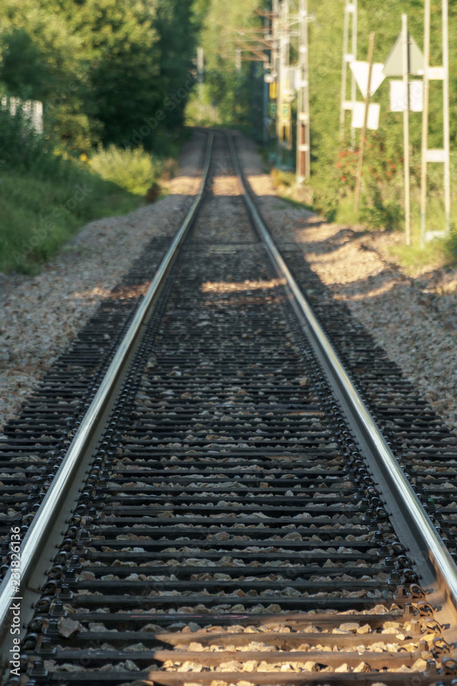 railway in forest