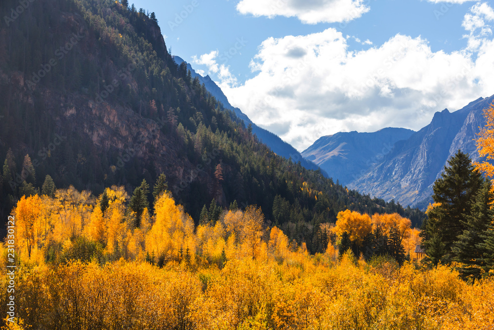 Autumn in Colorado