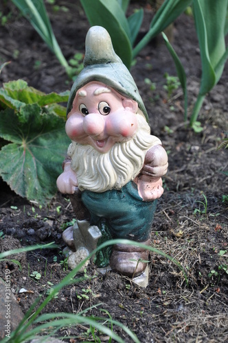 A gnome is in a garden
