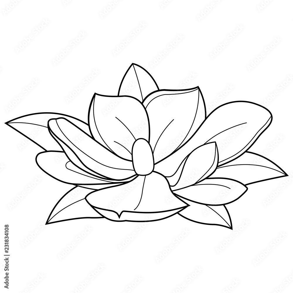 Obraz premium Magnolia flower. Vector black and white coloring page