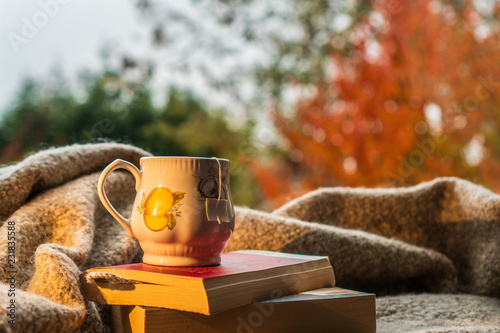 Cup of tea and books in a warm decor. Cozy lifestyle concept.