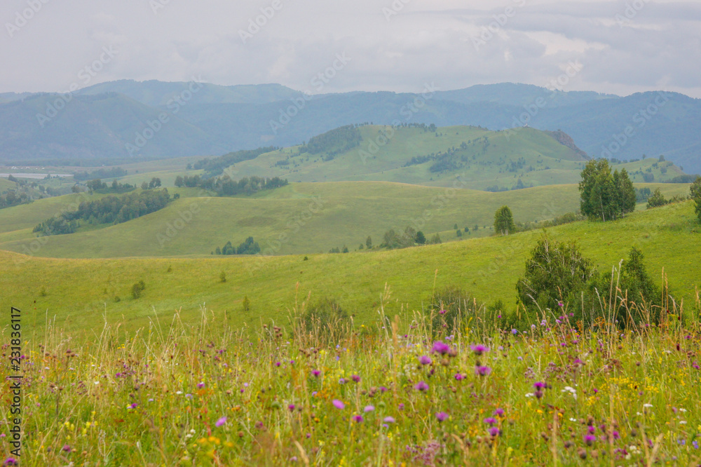 Fototapeta premium The hills and roads in the Altai