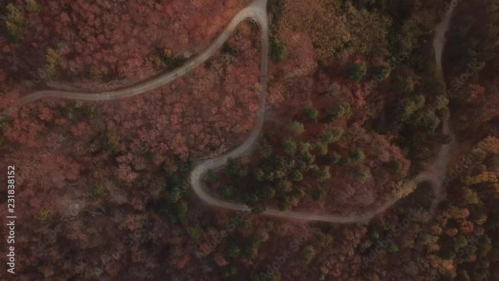 Aerial view. Drone flyes up over mountain road in late autumn forest. Sunrise light. Morning mists Aerial view. Drone flyes up over mountain road in late autumn forest. Sunrise light. Morning mists