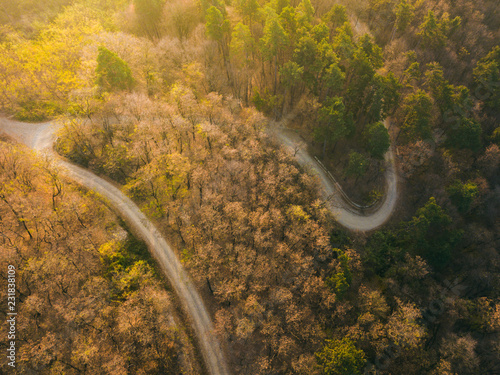 Aerial view over mountain road inside forest during sunrise. Autumn morning light over trees
