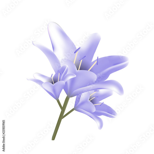 Bouquet of blue lilies. Vector illustration. Beautiful flowers
