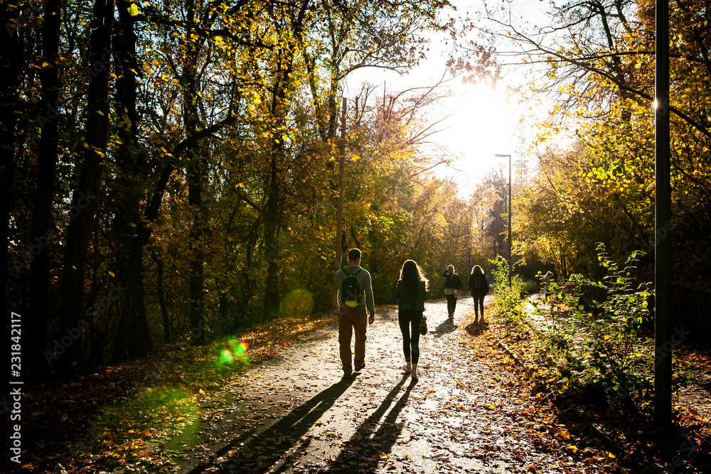 People walking on a path in the forest near the city during sunset on autumn