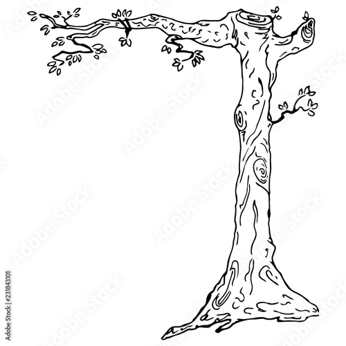 Tree with one branch. Vector illustration.