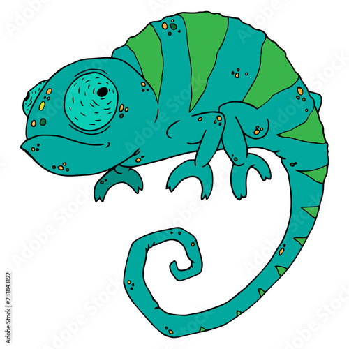Chameleon icon. Vector illustration of cartoon chameleon. Hand drawn funny chameleon.