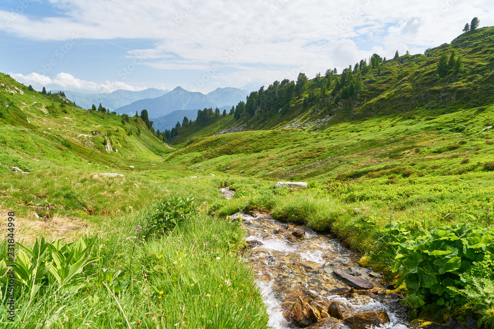 Frischer Gebirgsbach in den Bergen der Alpen Frischer Gebirgsbach in den Bergen der Alpen