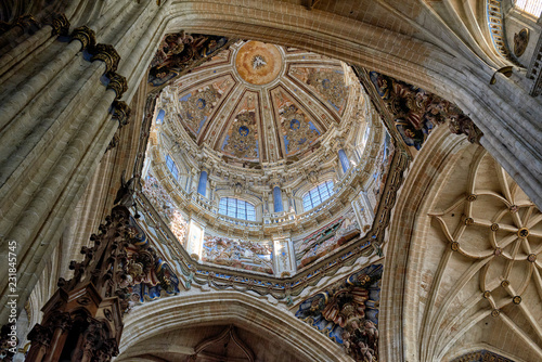 New Cathedral of Salamanca  Salamanca City  Spain  Europe