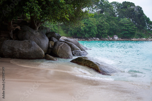 sandy beach with stones and blue water on the background of tropical green jungle