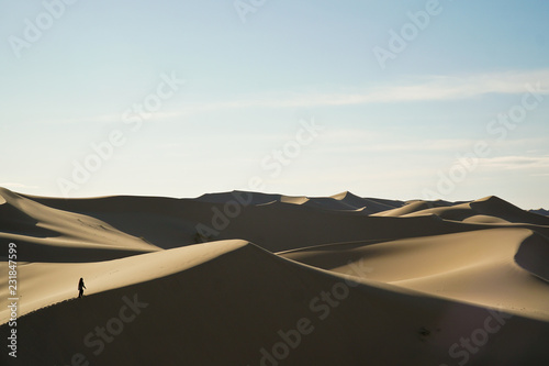 Discovering new worlds  Explorer nature. The big sand dunes at the Gobi desert  Mongolia