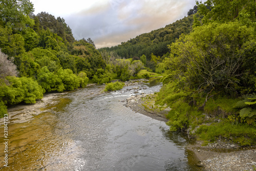 River flowing amongst green surroundings