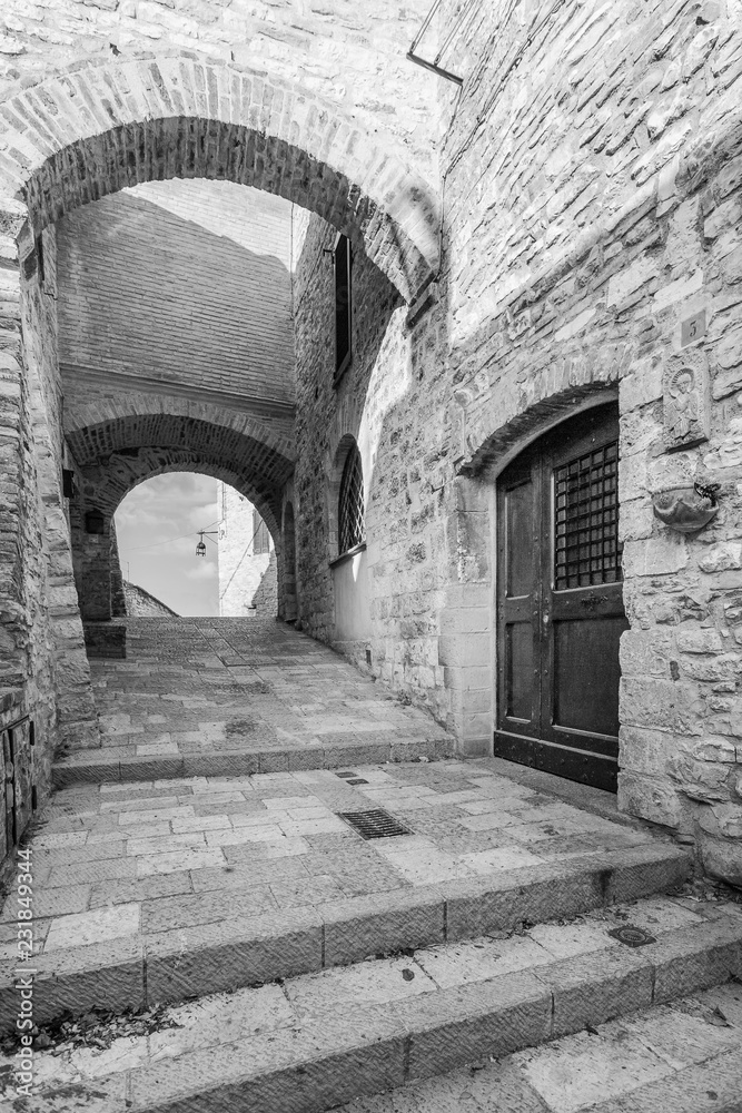 Fototapeta premium Assisi