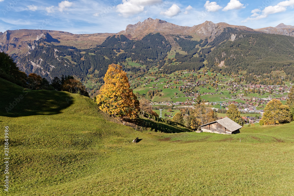 Views of Grindelwald valley from train heading for Grindelwald, Jungfrau Region, Switzerland