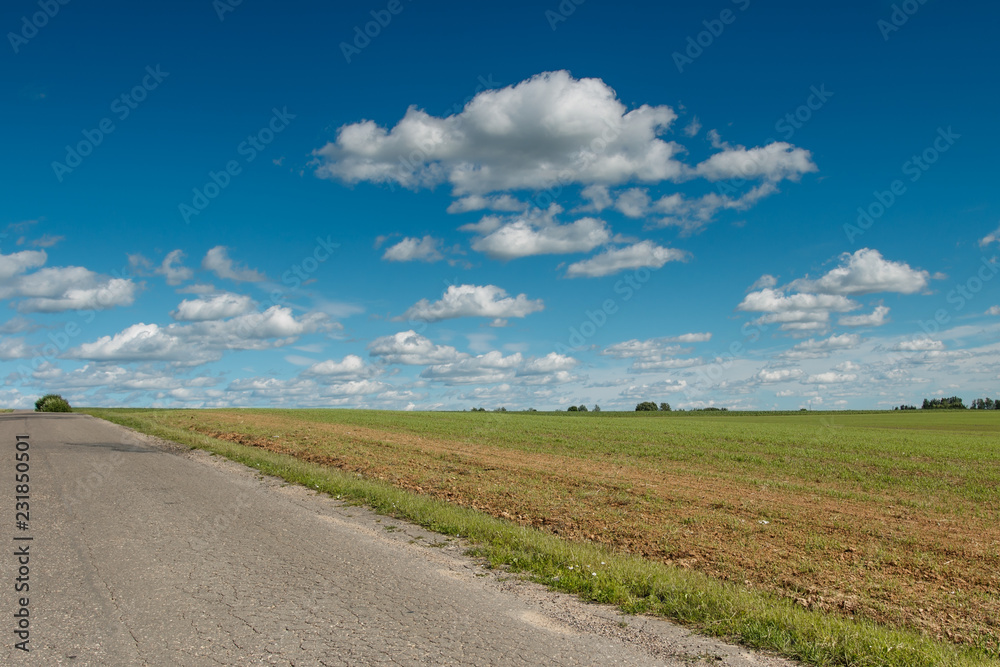 Landscape, beautiful field and road