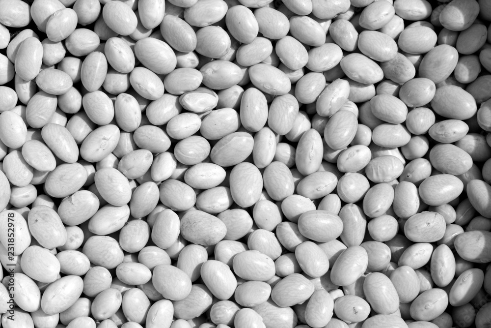 Pile of white soya beans in black and white. Pile of white soya beans in black and white.
