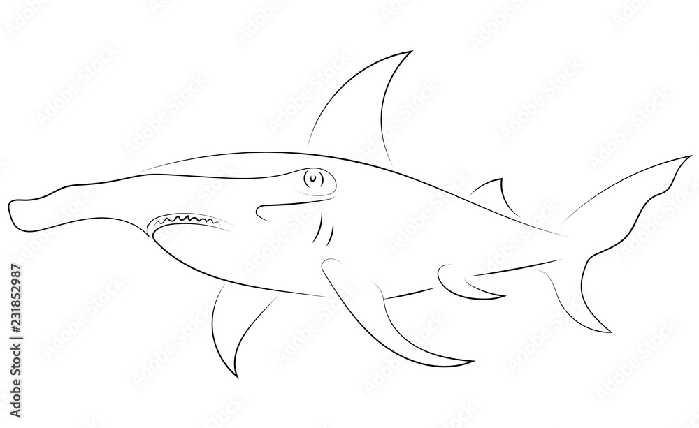 Black line hammerhead sharks on white background. Hand drawing vector graphic fish. Sketch style. Animal illustration. Black line hammerhead sharks on white background. Hand drawing vector graphic fish. Sketch style. Animal illustration.