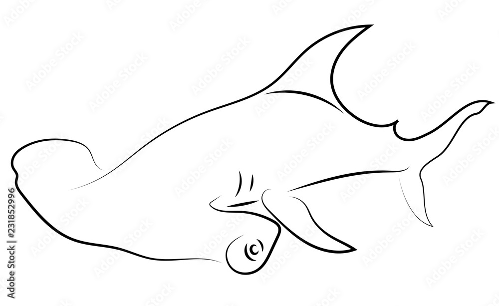 Obraz premium Black line hammerhead sharks on white background. Hand drawing vector graphic fish. Sketch style. Animal illustration.