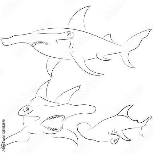 Black line hammerhead sharks on white background. Hand drawing vector graphic fish. Sketch style. Animal illustration.