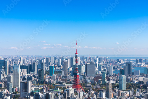 (東京都ｰ都市風景)展望台から見るお台場側風景５