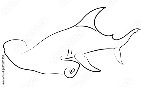 Black line hammerhead sharks on white background. Hand drawing vector graphic fish. Sketch style. Animal illustration.