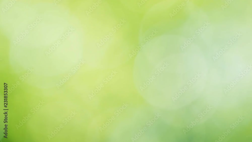 Sun shines through blowing on wind green leaves. Out of focus video footage. Sun shines through blowing on wind green leaves. Out of focus video footage.