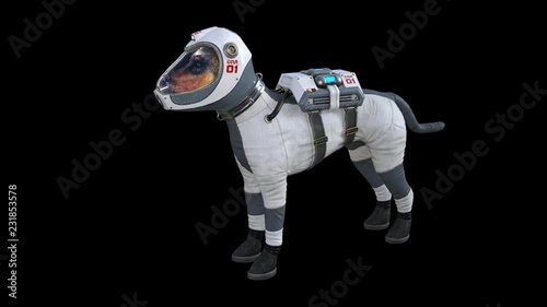 Dog in the Spacesuit Idle