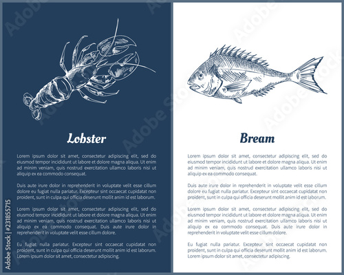 Lobster and Bream Fish Posters Vector Illustration