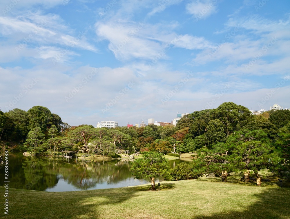 六義園 六義園