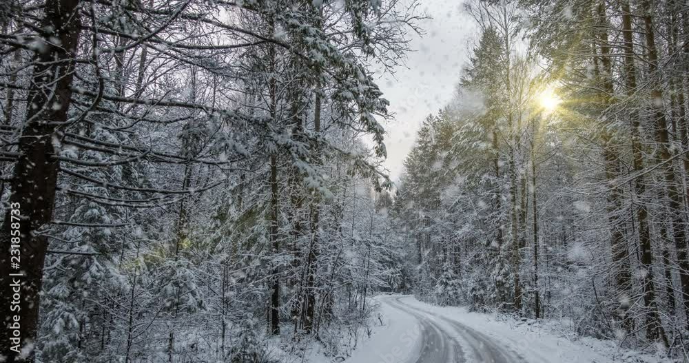 Falling snow in the winter forest, CINEMAGRAPH, loop, 1080p Falling snow in the winter forest, CINEMAGRAPH, loop, 1080p