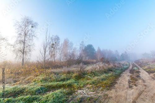 Obraz na płótnie Foggy morning in nature w salonie