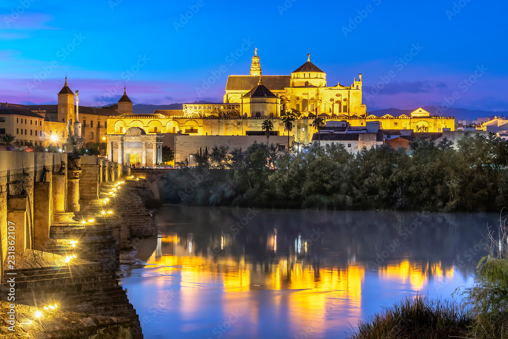Night view of Mosque-Cathedral and the Roman Bridge in Cordoba, Andalusia, Spain
