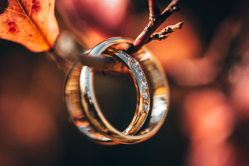 Wedding rings. Red background